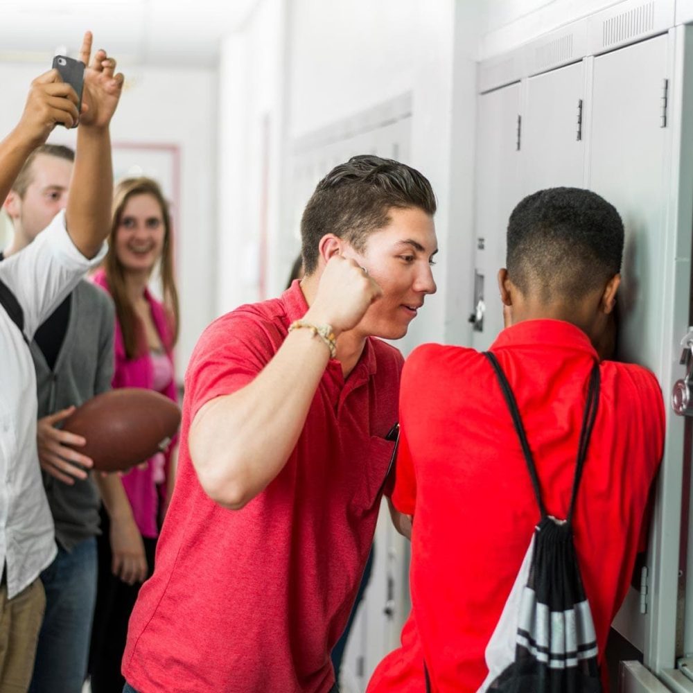 Bullying-in-school