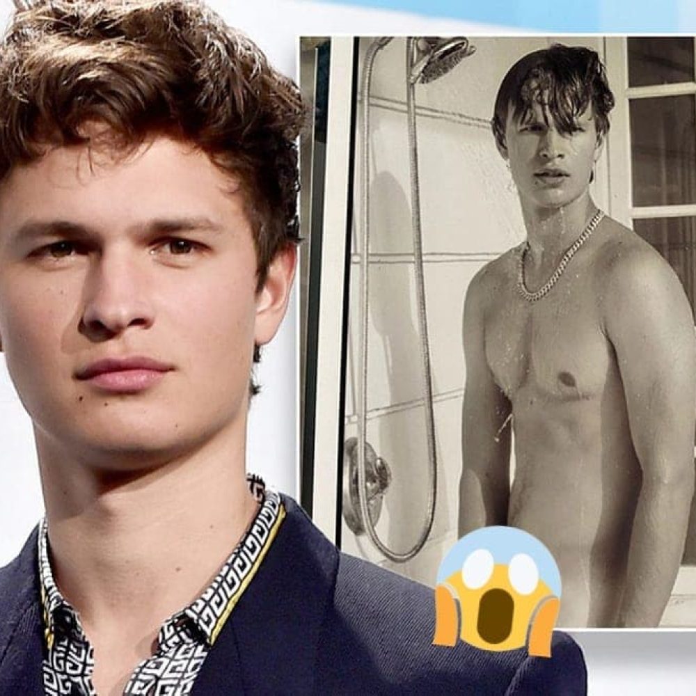 ansel