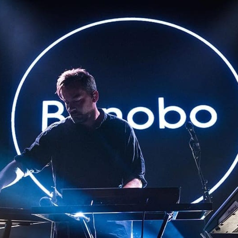 bonobo