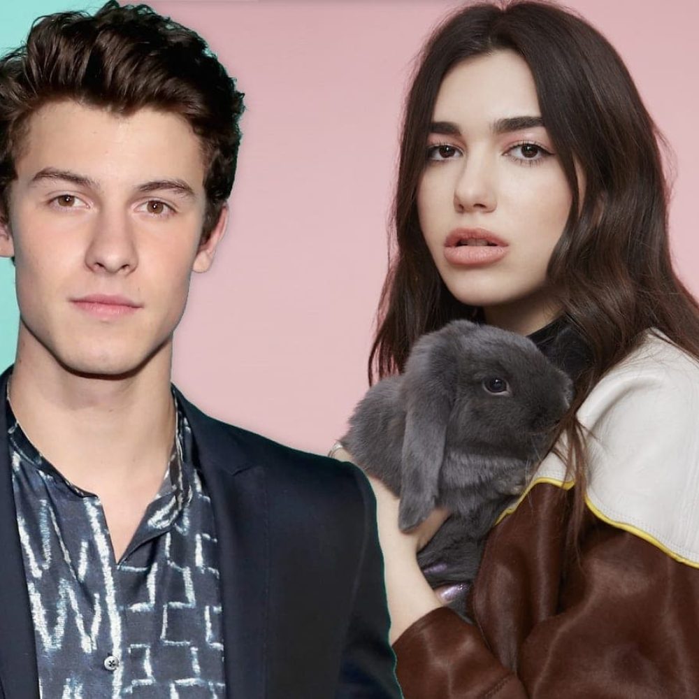 dua-lipa-shawn-mendes