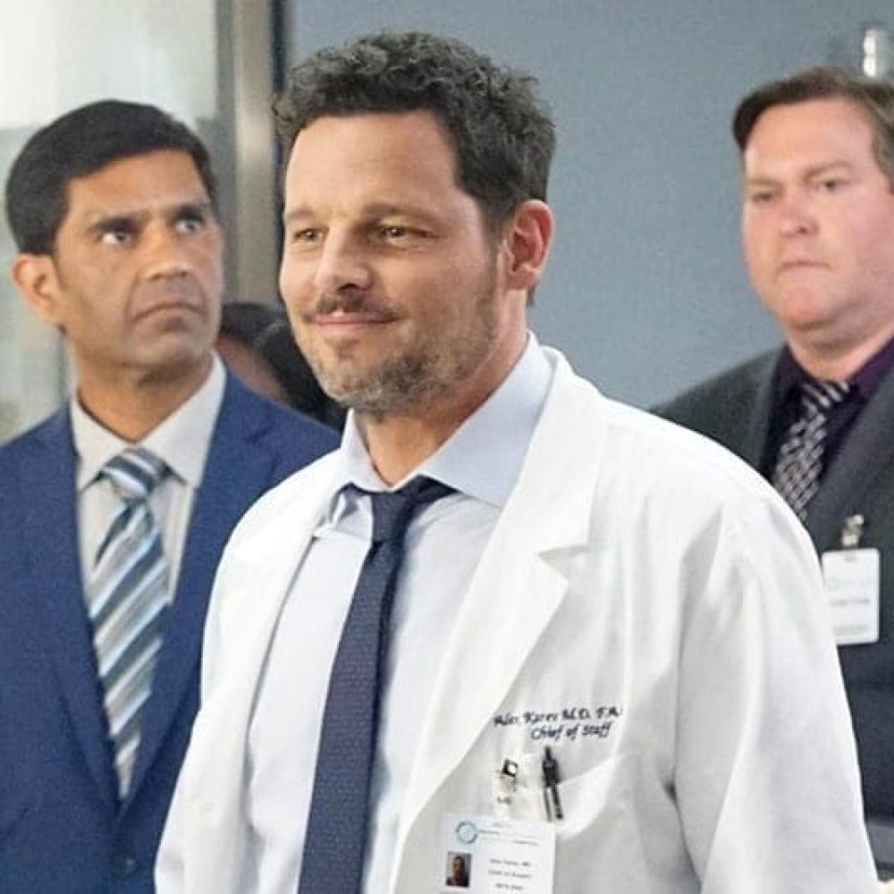 ABC's "Grey's Anatomy" - Season Sixteen