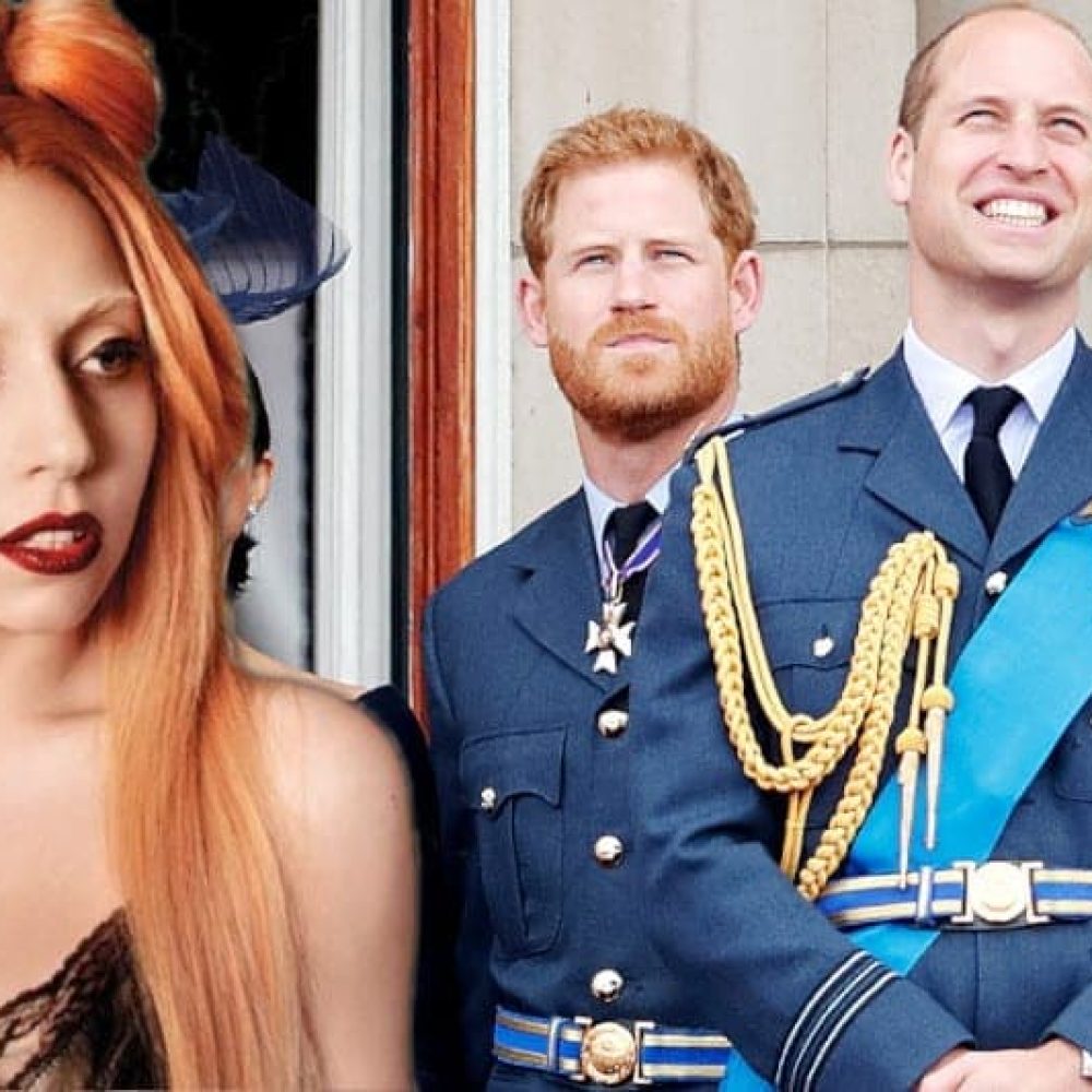 lady gaga prince william