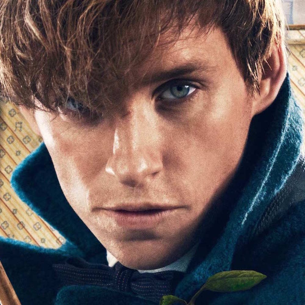 newt scamander