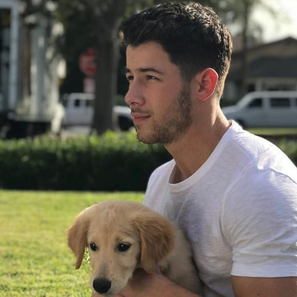 nick jonas