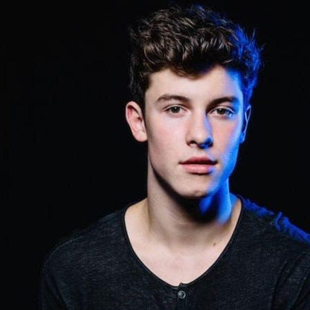 shawn mendes