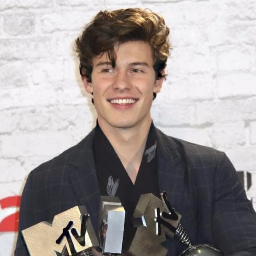 shawn mendes