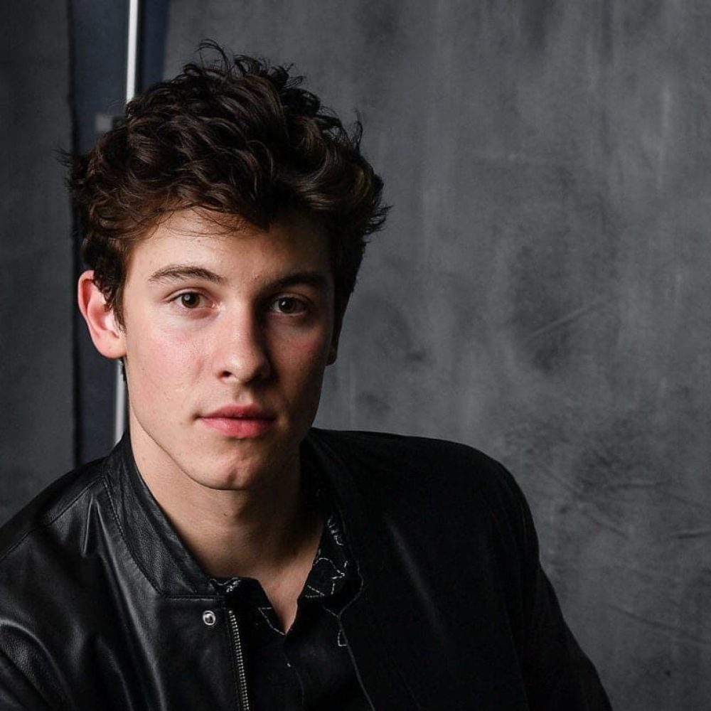 shawn mendes