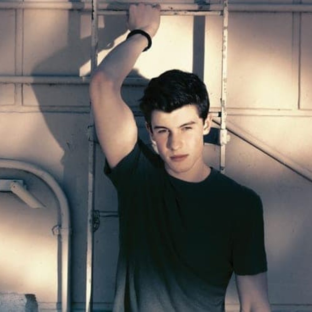 shawn-mendes-2015-austin-hargrave-billboard-05-650