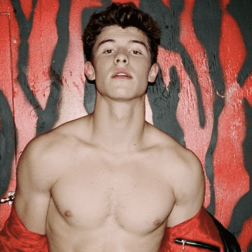 shawn mendes