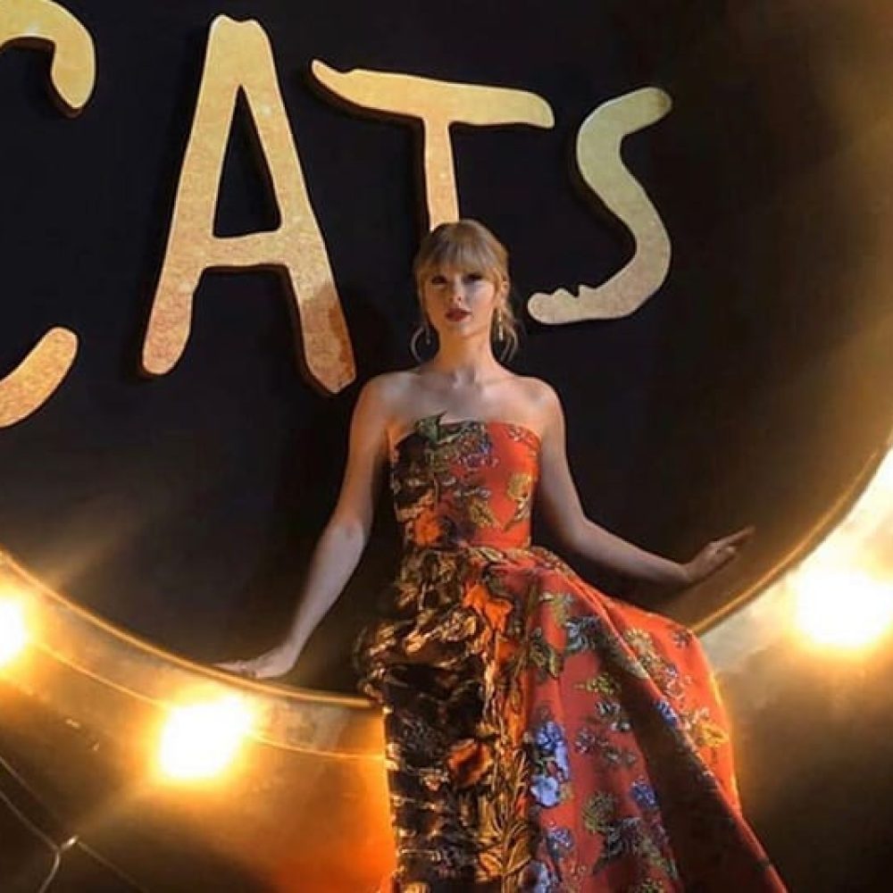 taylor swift cats