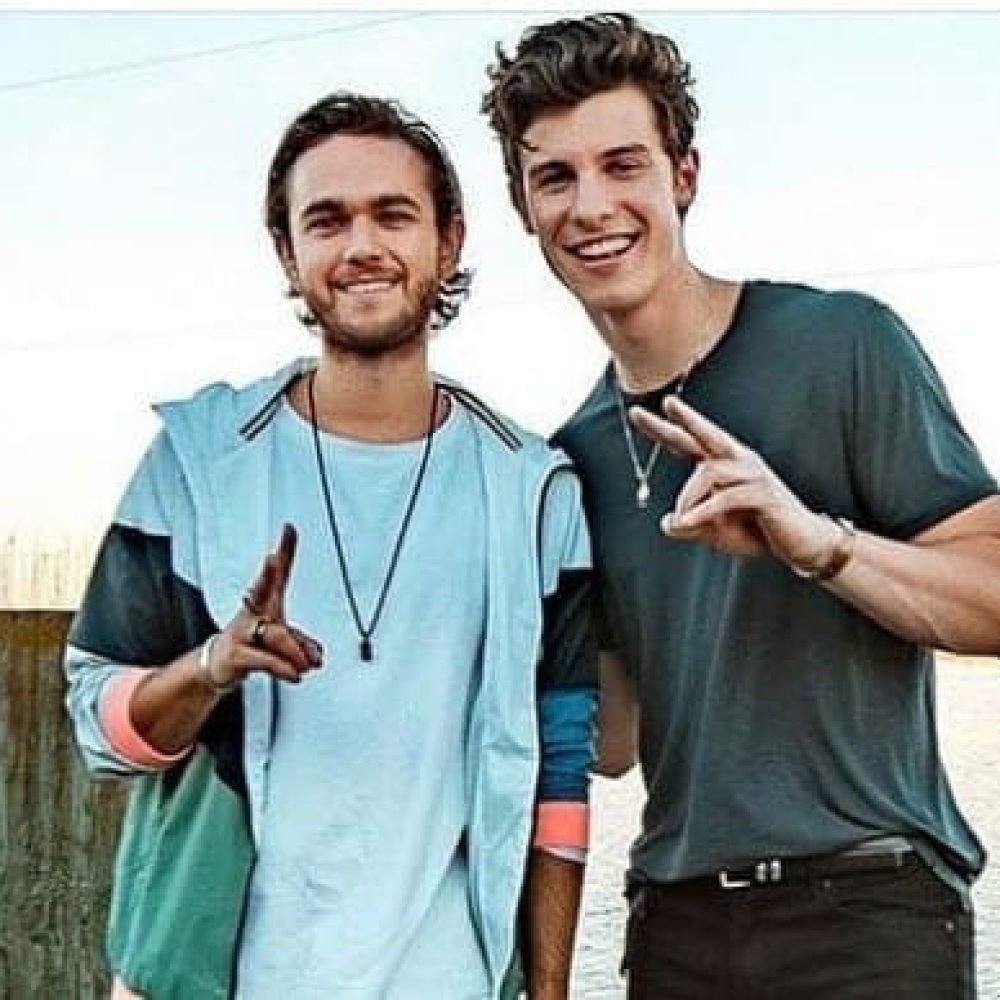 zedd shawn mendes